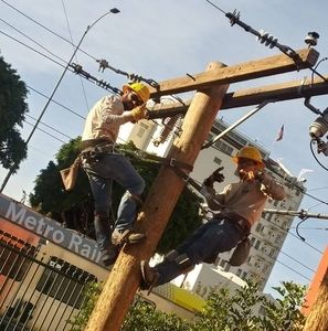 Meet your Posher, Ray